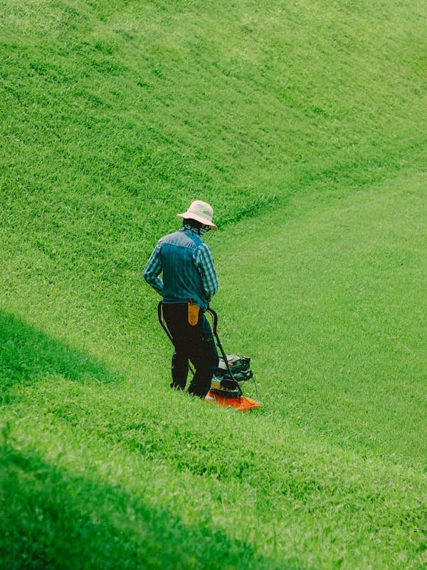 Tondeuse manuelle : le choix éco-responsable pour votre jardin